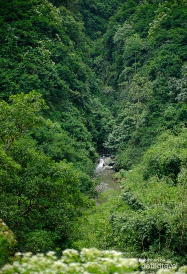 Keindahan sungai di Tahura Juanda
