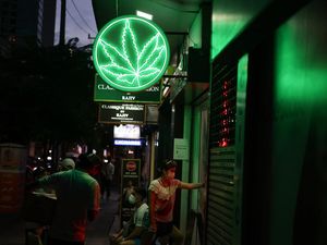 Thailand Klaim Malaysia Tertarik Pelajari Aturan Ganja Medis