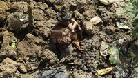 Pemilik lahan, Aris (34), mengatakan bunga tersebut tumbuh secara tiba-tiba. Keberadaannya membuat bau menyengat hingga dihinggapi lalat hijau.