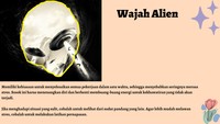 Siapa yang lihat wajah alien? Dilarang stress. (Foto: DetikHealth)