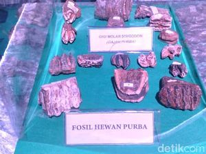 Lini Masa Konservasi Kehidupan Purba di Situs Tambaksari Ciamis