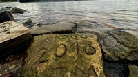 Salah satu Hunger Stones yang mulai tampak akibat rendahnya level air di salah satu sungai di Worms, Jerman pada 17 Agustus 2022. REUTERS/Tilman Blasshofer/File Photo.