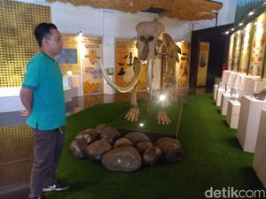 Kisah Penemuan Fosil Gajah Purba di Curug Cina Subang
