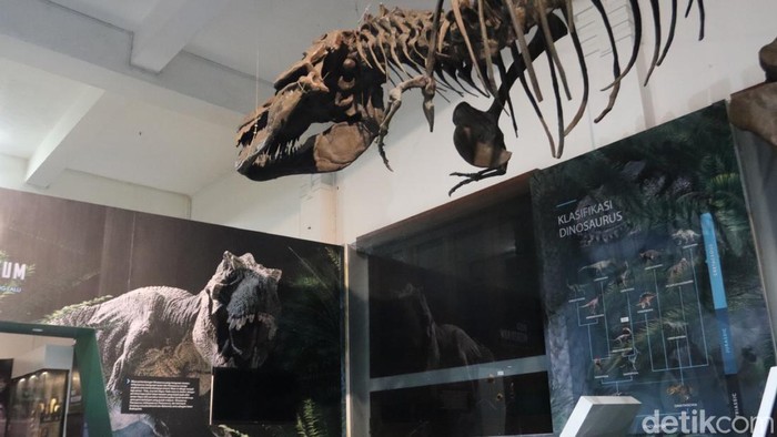 Fosil replika T-Rex di Museum Geologi, Kota Bandung