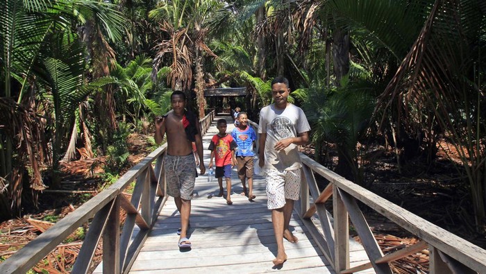 HUTAN SAGU KAMPUNG YOBOI PAPUA Foto udara suasana hutan sagu yang berdampingan dengan Kampung Yoboi di tepi Danau Sentani, Jayapura, Jumat (19/8/2022). Hutan seluas 1.600 hektare tersebut merupakan daya tarik wisata Kampung Yoboi dengan karena memiliki 20 jenis tanaman sagu dan merupakan salah satu hutan dengan jenis sagu terbanyak di Indonesia. ANTARA FOTO/Gusti Tanati/app/aww.