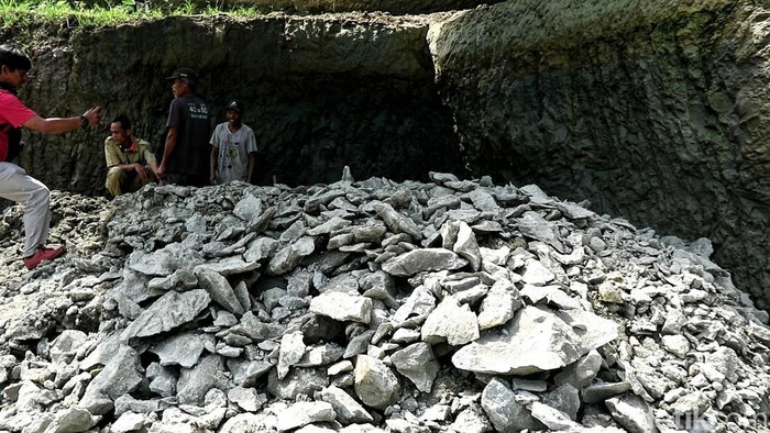 Melihat Lagi Suasana Perburuan Fosil Gigi Megalodon di Surade Sukabumi Melihat Lagi Suasana Perburuan Fosil Gigi Megalodon di Surade Sukabumi