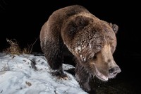Nature TTL Photographer of the Year 2022