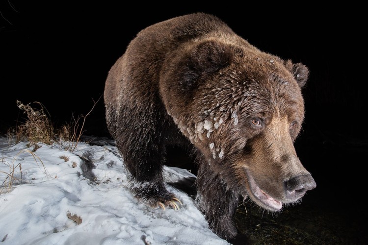 Nature TTL Photographer of the Year 2022 Nature TTL Photographer of the Year 2022