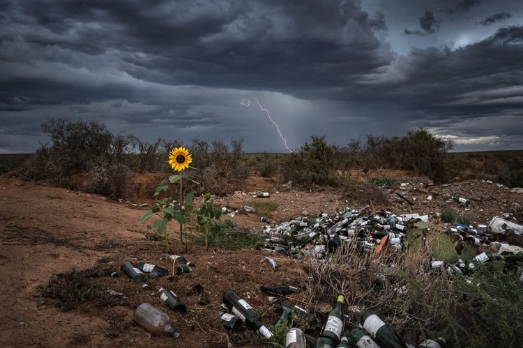 Nature TTL Photographer of the Year 2022
