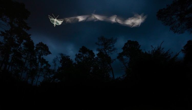 Nature TTL Photographer of the Year 2022 Nature TTL Photographer of the Year 2022