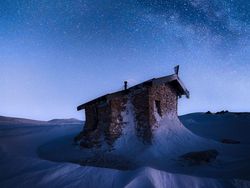 Deretan Jawara Fotografi Alam Liar yang Bikin Terpukau