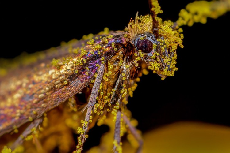 Nature TTL Photographer of the Year 2022 Nature TTL Photographer of the Year 2022
