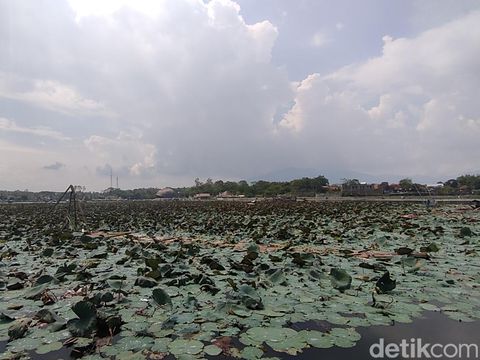 Objek wisata Situ Bagendit Garut.