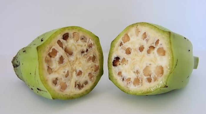 Penampakan buah dan sayuran ribuan tahun lalu