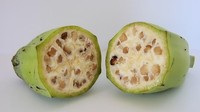 Buah pisang sudah dibudidaya sejak 7 ribu tahun lalu. Nah, beginilah penampakan buah pisang saat pertama kali dibudidaya. Foto: Science Alert