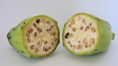 Beda dengan Sekarang, Ini Tampilan Buah dan Sayuran Ribuan Tahun Lalu