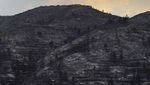 Penampakan Hutan yang Gosong Akibat Kebakaran di Spanyol