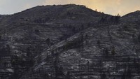 Pepohonan di lereng bukit dekat Bejis, Spanyol timur, juga hangus terbakar.