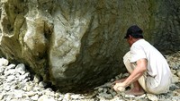 Kampung ini sudah dikenal dengan temuan fosil ini, bahkan namanya spontan berubah jadi Kampung Megalodon. Meskipun berada di lahan milik warga perburuan fosil ini lama-lama ada habisnya, kalau misalkan dikelola dengan baik mungkin kita bisa mengabadikan lokasi ini dan mungkin membuat taman fosil purba. Mungkin kalau lebih mantapnya lagi ada dari pemerintah yang datang untuk melakukan penelitian untuk menukuhkan taman fosil tersebut, cerita Eli kepada detikJabar, Januari 2021 lalu.