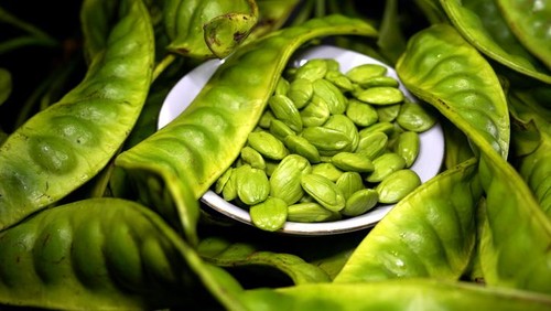 Presiden Soekarno tidak suka makan petai dan jengkol