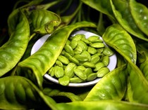Mengapa Makan Jengkol dan Petai Bisa Bikin Mulut Bau? Ini Cara Mengatasinya