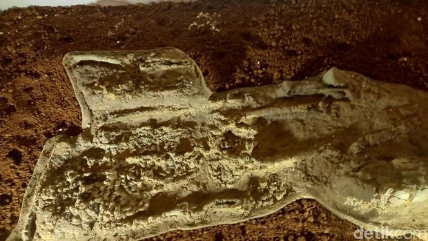 Replika fosil kerangka manusia purba di Museum Wisma Karya Subang.