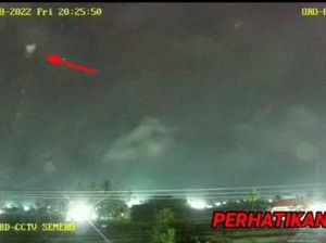 Kok Bisa Video CCTV BPBD Lumajang Jadi Konten di TikTok? Ini Jawabannya