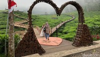 Wisata kebun teh yang disebut juga Wisata Agro Rengganis (WAR) ini berlokasi di Dusun Nanasan, Desa Gelang, Kecamatan Sumberbaru, Jember. Foto: Yakub Mulyono/detikJatim