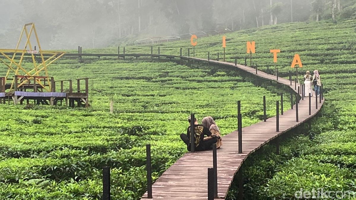 Tempat Wisata di Jember - Agro Rengganis