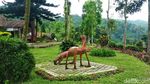 Ide Liburan di Jember, Main ke Kebun Teh Rengganis