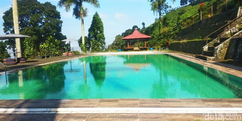 Wisata kebun teh Jember