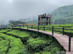 4 Wisata di Jantung Kota Jember, Cocok buat Liburan Keluarga!