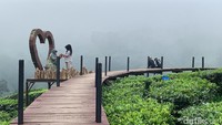 Menurut Dodo, lokasi Wisata Agro Rengganis menyuguhkan wisata alam yang berbeda dengan lainnya. Karena mengusung konsep kekinian, dengan menyesuaikan kebutuhan swafoto untuk diunggah ke medsos. Foto: Yakub Mulyono/detikJatim