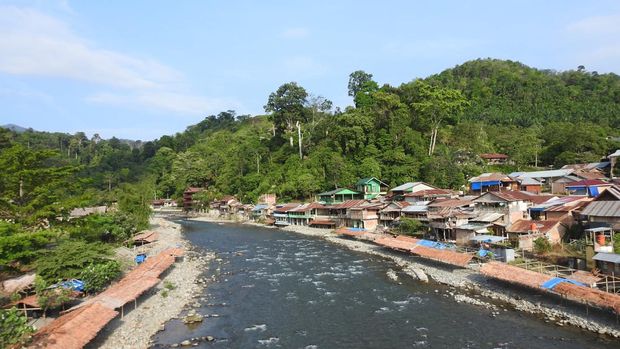 Bukit Lawang