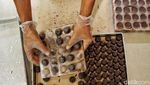 Potret Pabrik Cokelat Dodol Garut Menolak Kalah dari Pandemi