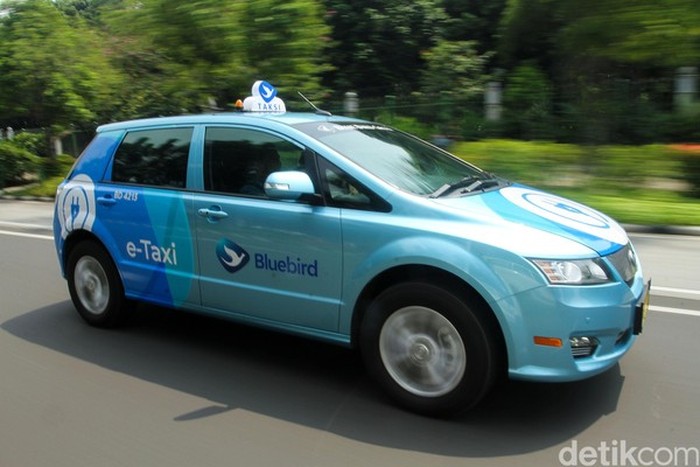 Armada Blue Bird terus mengalami perubahan dari waktu ke waktu. Wajar saja, hal ini karena Blue Bird telah beroperasi puluhan tahun. Berikut perkembangan armada Blue Bird