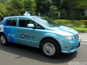 Sopir Blue Bird Dipecat Usai Viral Catcalling Bule Rusia di Jaksel