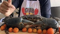 Kepiting jumbo dari Papua seberay 2kg lebih ini berhasil dijualnya, untuk para penggemar hidangan kepiting segar yang enak. Foto: Instagram @piyu_logy