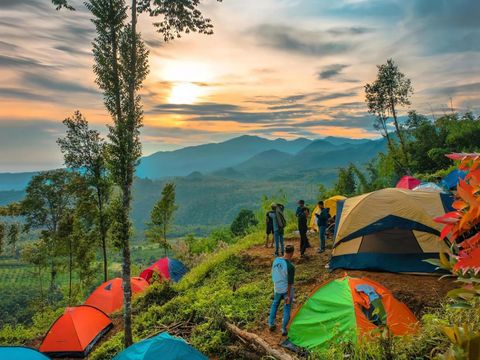 Keindahan alam dari Rumah Pohon Habitat di Langkat