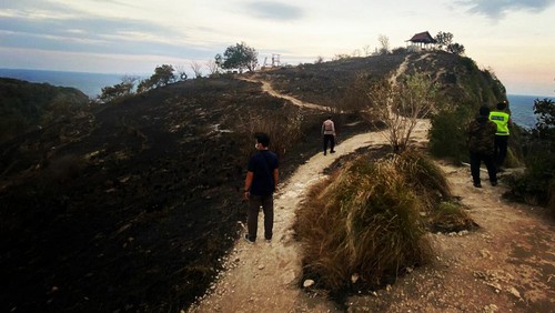 Lahan di area Diamond Beach Nusa Penida usai terbakar Sabtu (20/8/2022) sore