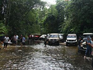 Seru! Menyusuri Hutan Tropis Riau Bareng Klub Mobil Tua