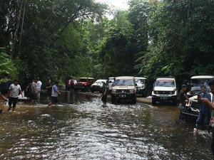 Seru! Menyusuri Hutan Tropis Riau Bareng Klub Mobil Tua