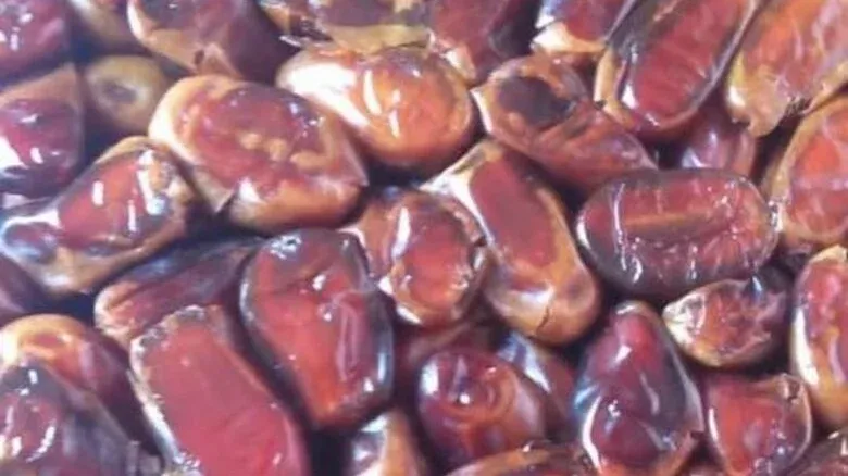 10 Jenis Kurma dan Keunikannya, Ada Rasa Mirip Madu hingga Karamel