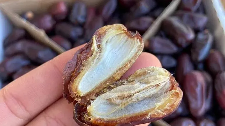 10 Jenis Kurma dan Keunikannya, Ada Rasa Mirip Madu hingga Karamel