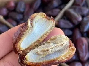 Muslim di Eropa Diminta Boikot Kurma Israel, Ini Daftar Mereknya