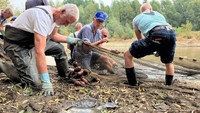 Ketinggian air di danau kecil dekat kota Giesbeek dulunya sekitar satu meter lebih. Sekarang turun menjadi sekitar 10 sentimeter.
