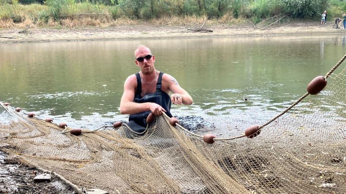 Aksi Nelayan di Belanda Selamatkan Ikan-ikan dari Danau yang Mengering Fishermen pick up fish trapped by receding water levels in the Rhine river due to the drought in Giesbeek on August 17, 2022. - Angler Mark Kouwenhoven grins as he wades into the remains of a dried-up Dutch lake where his colleagues are throwing slime-coated fish into buckets.
It's not the kind of catch they're used to, but that's because this time they're helping the government to save the fish from the drought gripping Europe.
Each fish will be moved nearby to the River IJssel, a Dutch branch of the drought-hit River Rhine that until recently had fed the lake with fresh water.
Dry, parched banks are now exposed to the air along the Dutch distributaries of the Rhine such as the Waal, the Nederrijn and the IJssel.
The water in the small lake near the town of Giesbeek used to be about a metre higher, with fish swimming in from the IJssel, but is now down to about 10 centimetres. (Photo by Danny KEMP / AFP) (Photo by DANNY KEMP/AFP via Getty Images)