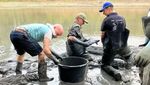 Di Belanda, Mereka Ramai-ramai Selamatkan Ikan dari Sungai Mengering