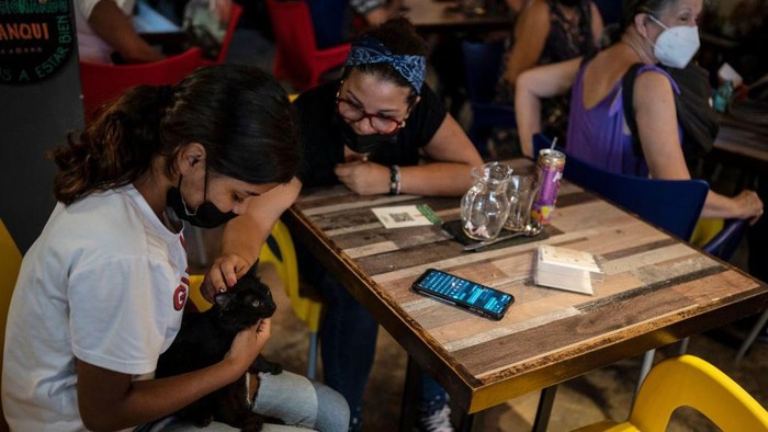 Women pet a cat while waiting for a coffee at a cat cafe in Caracas, on August 19, 2022. - Carol Matheus, the owner of the cafe, affirms that people come to her business to spend time with the cats and it serves them as anti-stress therapy. The cats at the cafe were rescued from the streets. (Photo by Yuri CORTEZ / AFP) (Photo by YURI CORTEZ/AFP via Getty Images)