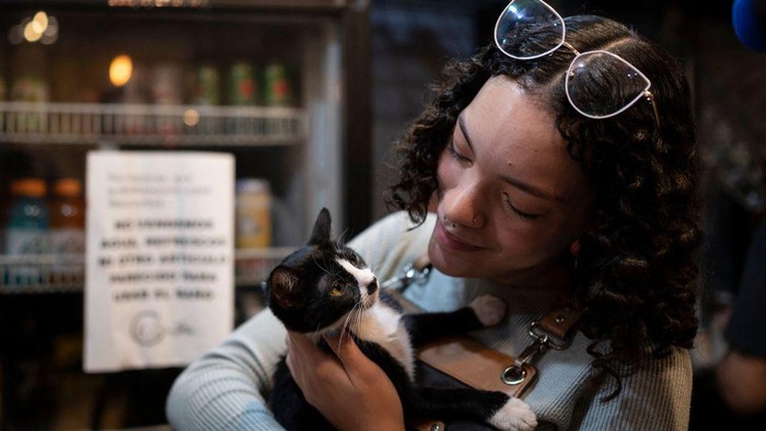 Women pet a cat while waiting for a coffee at a cat cafe in Caracas, on August 19, 2022. - Carol Matheus, the owner of the cafe, affirms that people come to her business to spend time with the cats and it serves them as anti-stress therapy. The cats at the cafe were rescued from the streets. (Photo by Yuri CORTEZ / AFP) (Photo by YURI CORTEZ/AFP via Getty Images)